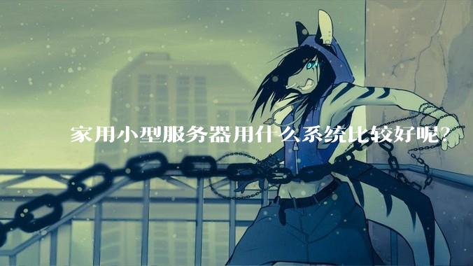 家用小型服务器用什么系统比较好呢？