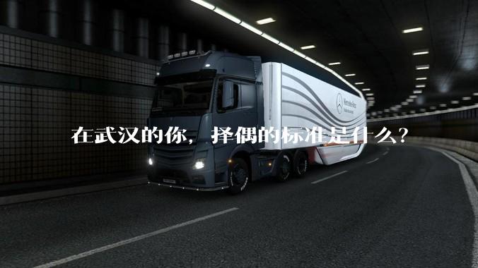 在武汉的你，择偶的标准是什么？